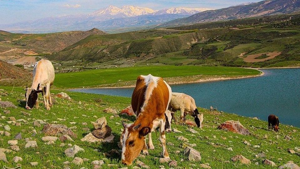 طبیعت منطقه ارسباران