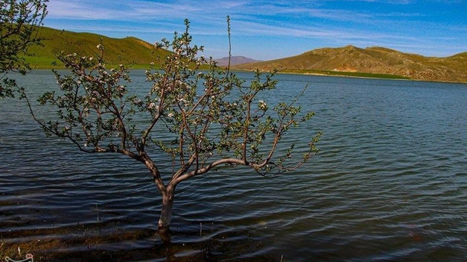 طبیعت منطقه ارسباران