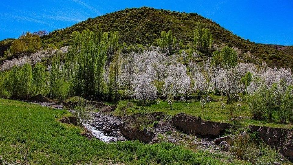 طبیعت منطقه ارسباران