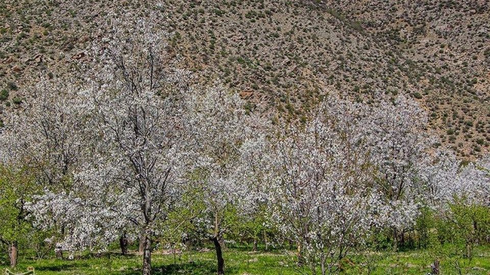 طبیعت منطقه ارسباران