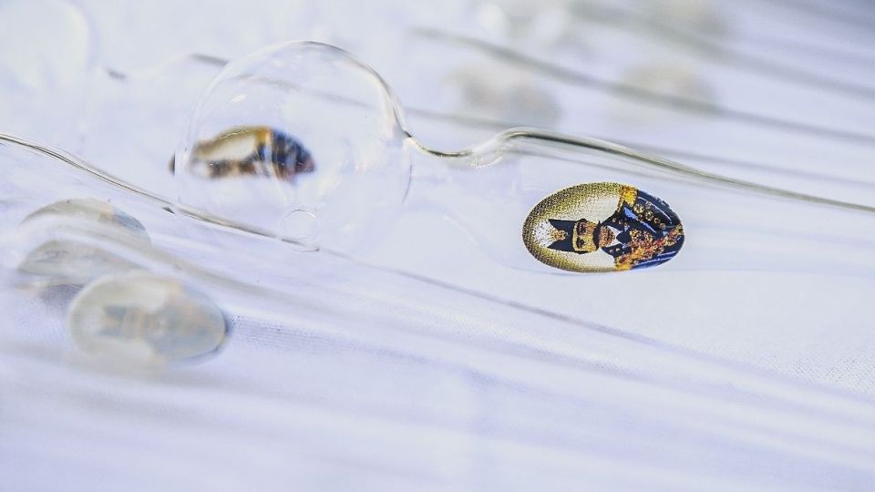 مرحله دوازدهم طرح ظفر