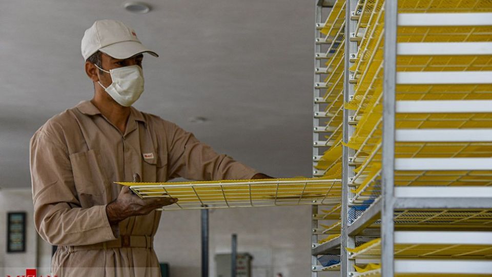 احیای واحد‌های تولیدی تعطیل و نیمه تعطیل با مساعدت دستگاه قضایی