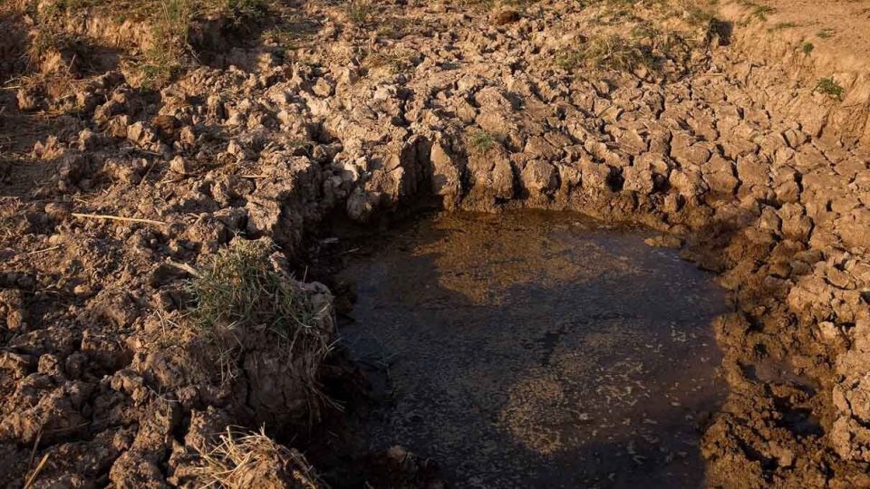 پایان زندگی در هورالعظیم