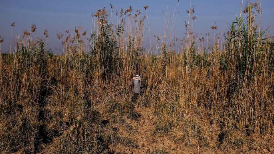 پایان زندگی در هورالعظیم