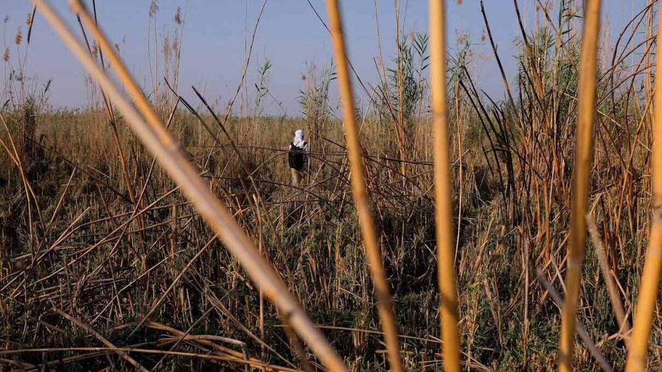 پایان زندگی در هورالعظیم