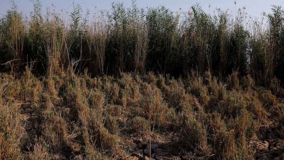 پایان زندگی در هورالعظیم