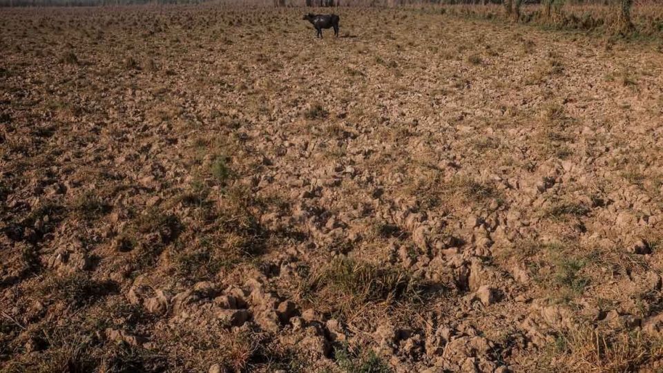 پایان زندگی در هورالعظیم