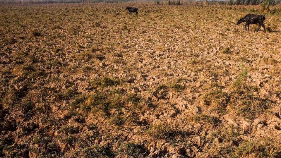 پایان زندگی در هورالعظیم