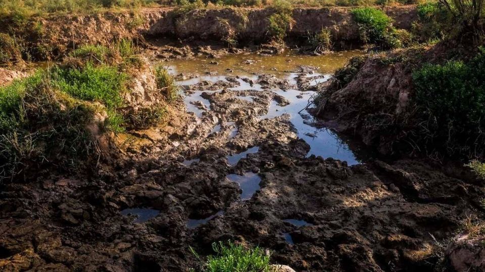 پایان زندگی در هورالعظیم