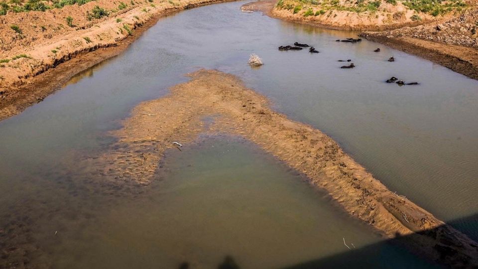 پایان زندگی در هورالعظیم