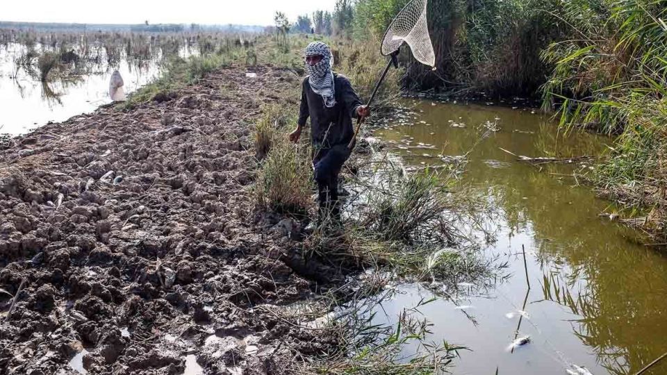 پایان زندگی در هورالعظیم