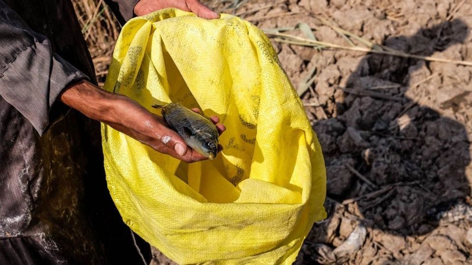 پایان زندگی در هورالعظیم