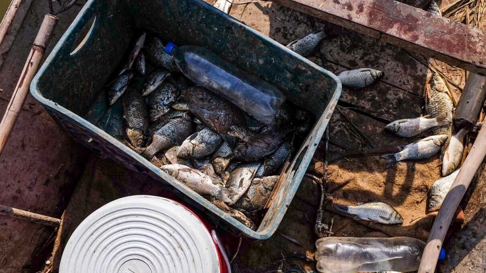 پایان زندگی در هورالعظیم