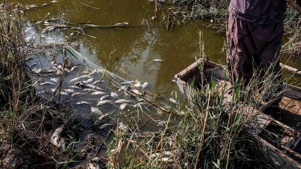 پایان زندگی در هورالعظیم