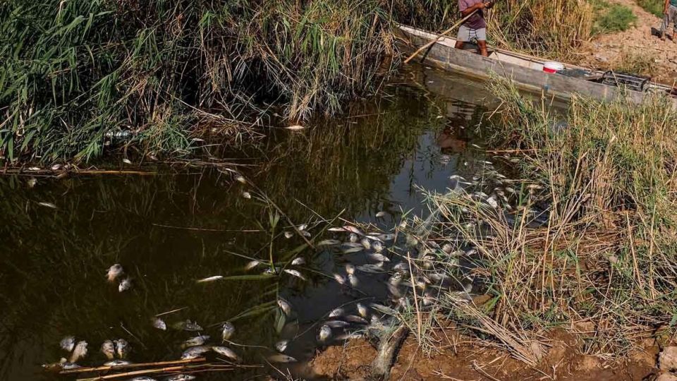 پایان زندگی در هورالعظیم