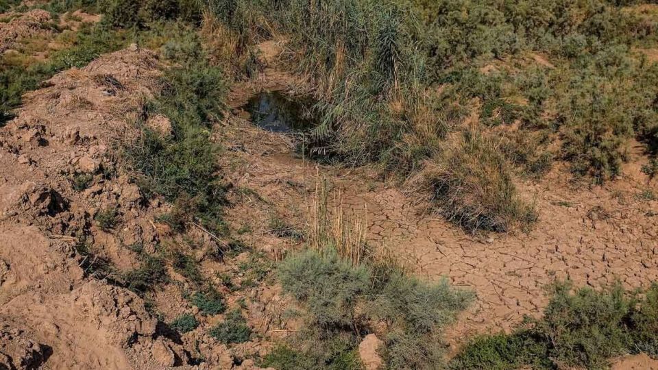 پایان زندگی در هورالعظیم