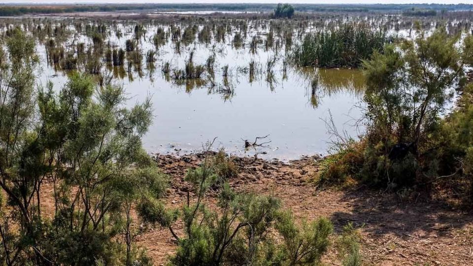 پایان زندگی در هورالعظیم