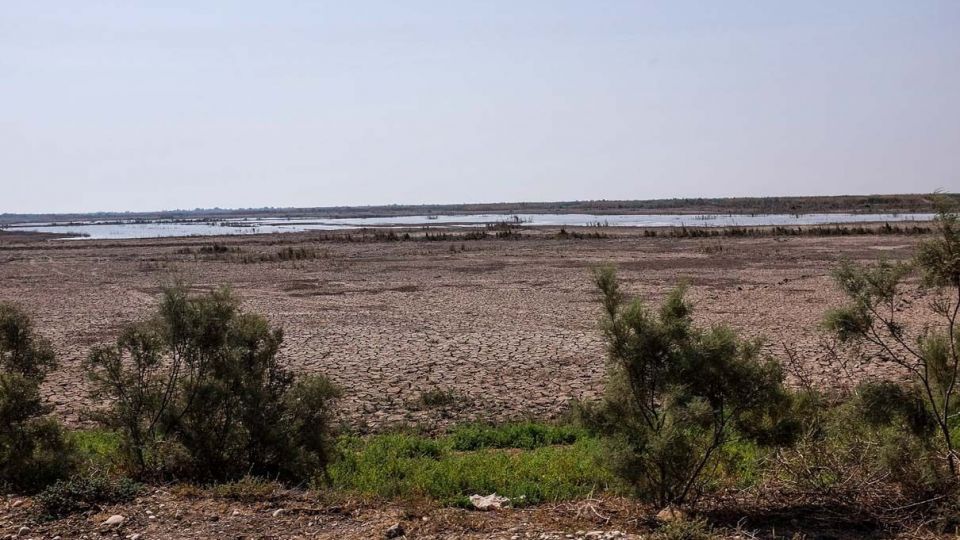 پایان زندگی در هورالعظیم