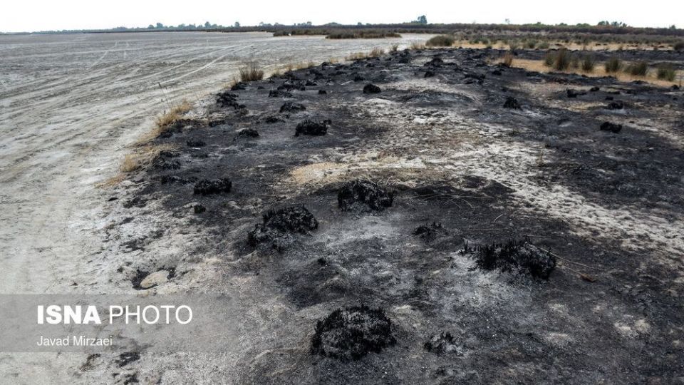 آثار آتش‌سوزی تالاب میانکاله - مازندران
