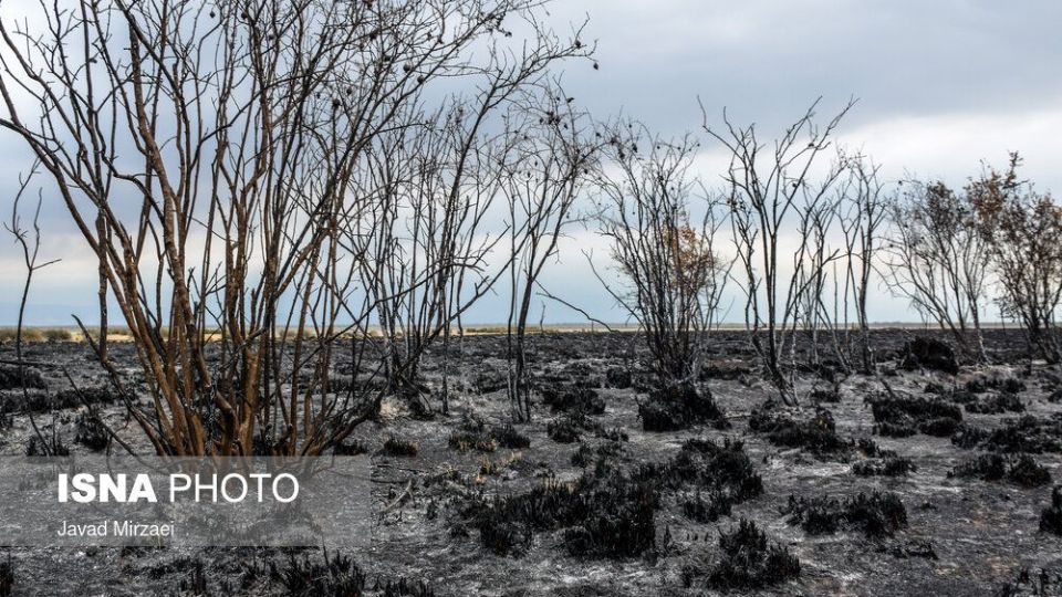 آثار آتش‌سوزی تالاب میانکاله - مازندران