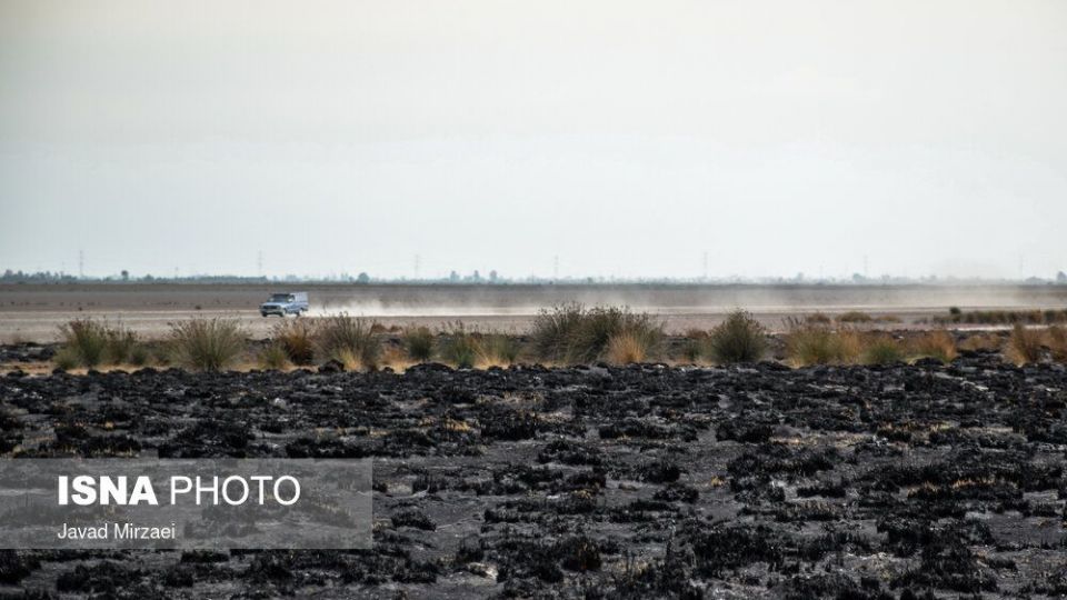 آثار آتش‌سوزی تالاب میانکاله - مازندران