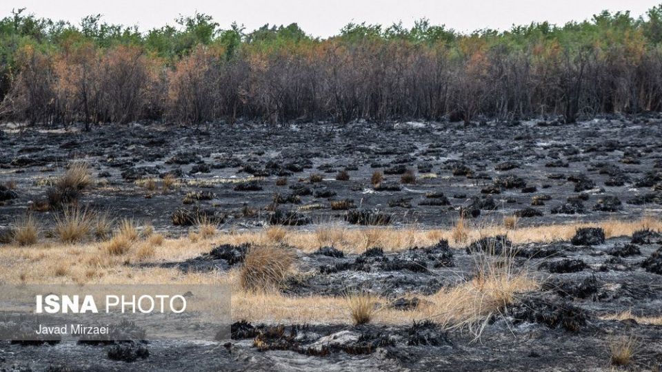 آثار آتش‌سوزی تالاب میانکاله - مازندران