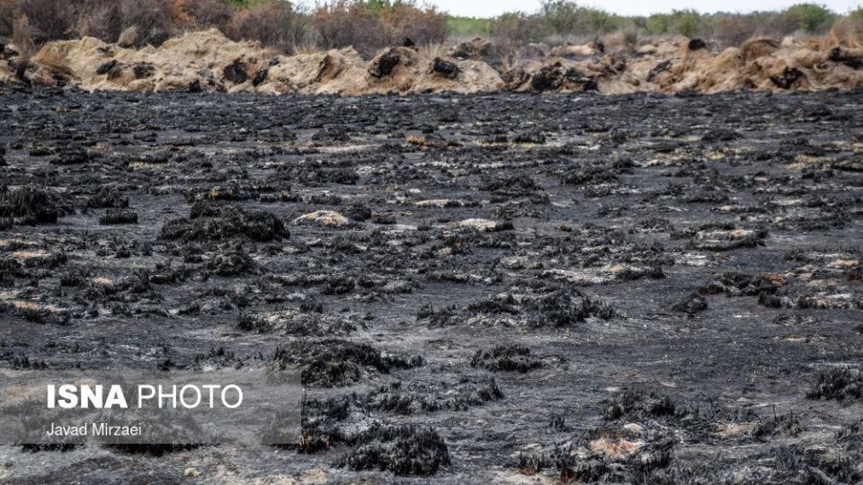 آثار آتش‌سوزی تالاب میانکاله - مازندران