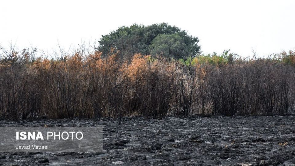 آثار آتش‌سوزی تالاب میانکاله - مازندران