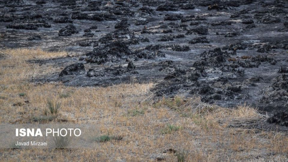 آثار آتش‌سوزی تالاب میانکاله - مازندران