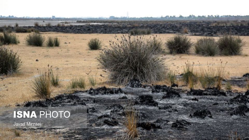 آثار آتش‌سوزی تالاب میانکاله - مازندران