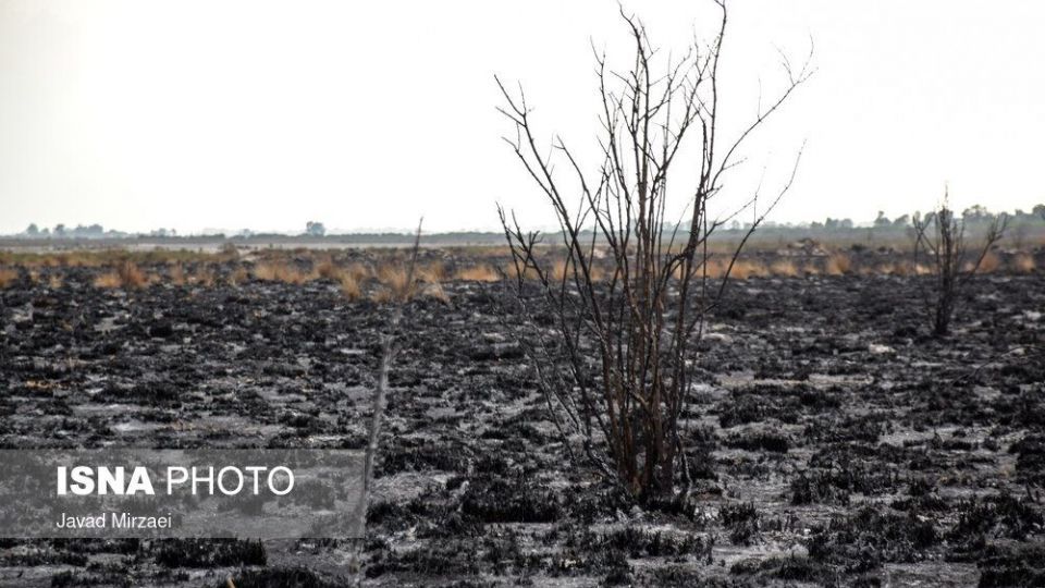 آثار آتش‌سوزی تالاب میانکاله - مازندران