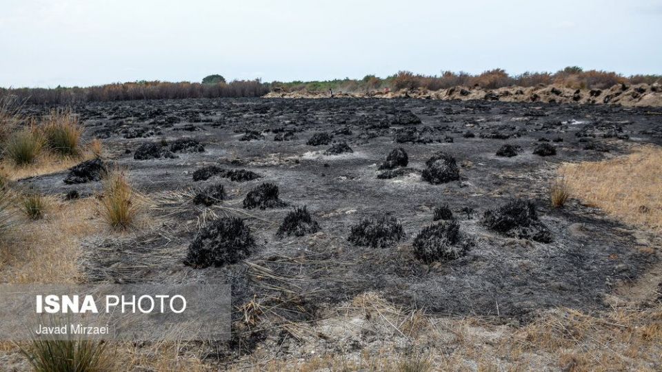 آثار آتش‌سوزی تالاب میانکاله - مازندران