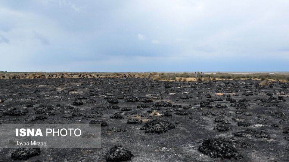 آثار آتش‌سوزی تالاب میانکاله - مازندران