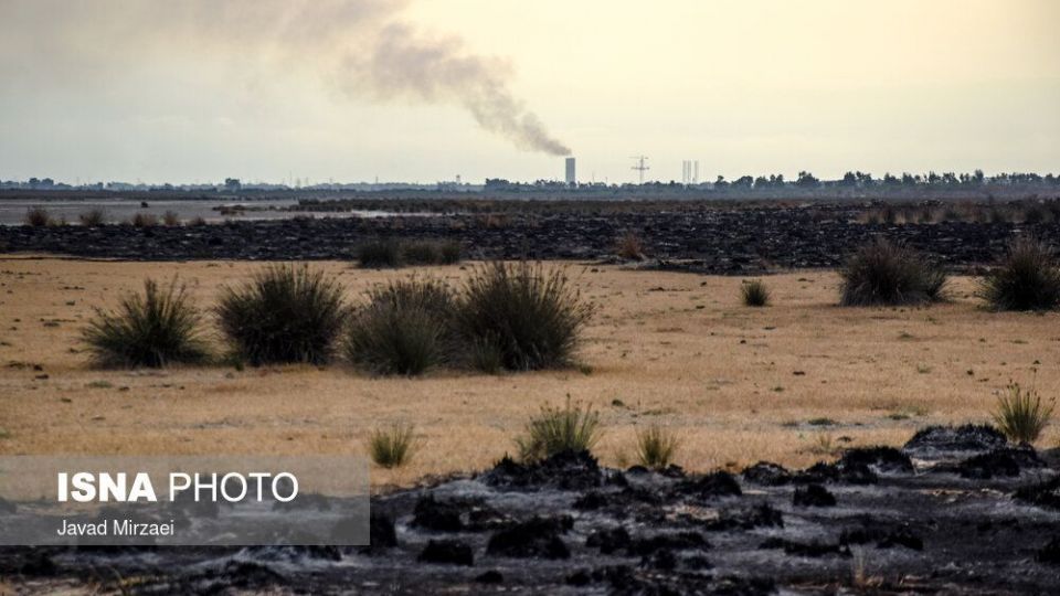 آثار آتش‌سوزی تالاب میانکاله - مازندران