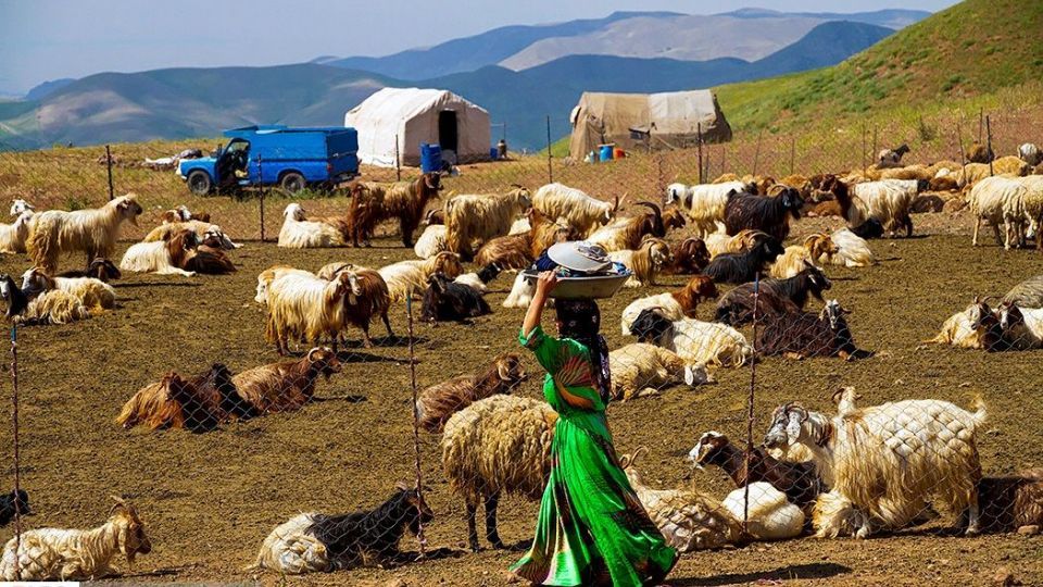 زندگی عشایر در ییلاق