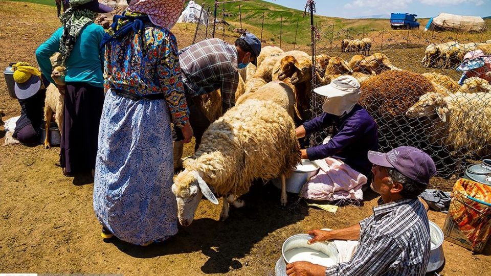 زندگی عشایر در ییلاق