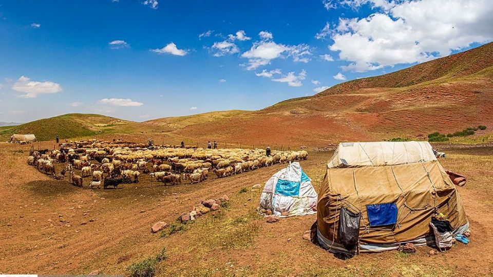 زندگی عشایر در ییلاق