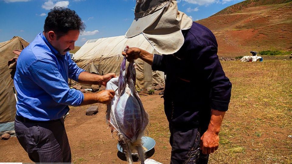 زندگی عشایر در ییلاق