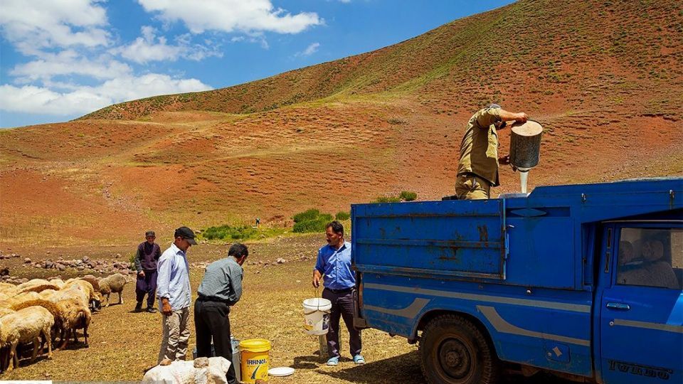 زندگی عشایر در ییلاق