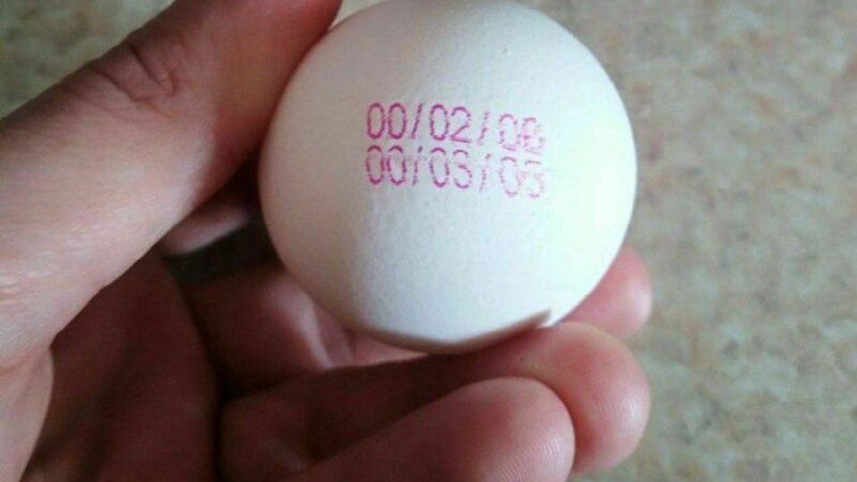 شهروندان فقط تخم‌مرغ نگهداری شده در یخچال بخرند