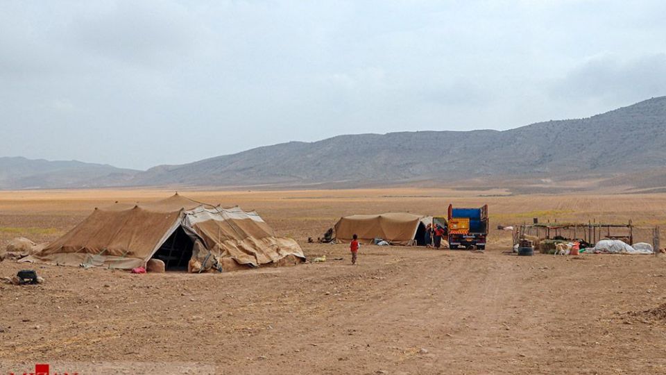 طرح واکسیناسیون دام‌های عشایر - خراسان شمالی