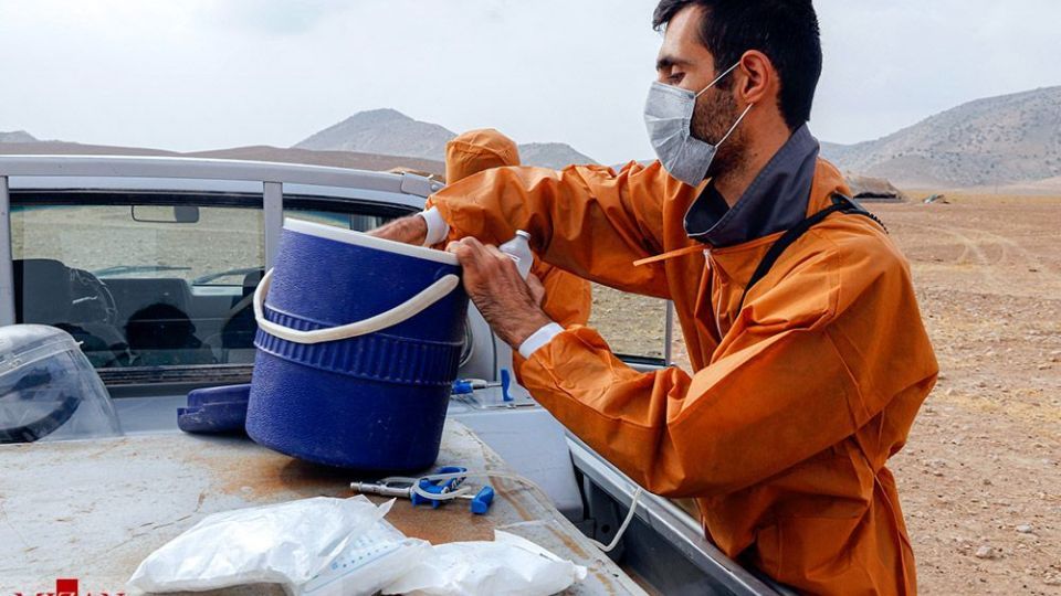 طرح واکسیناسیون دام‌های عشایر - خراسان شمالی