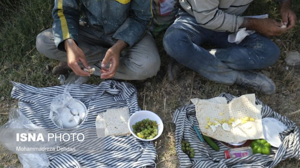 نشاء‌ برنج در اوج «کم آبی»