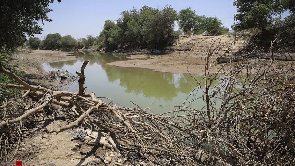 هورالعظیم در اغما