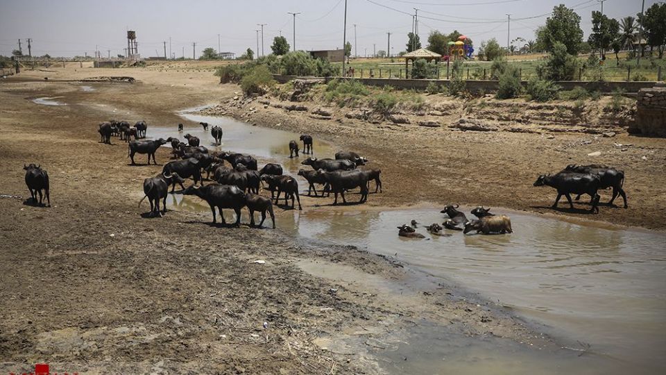 هورالعظیم در اغما