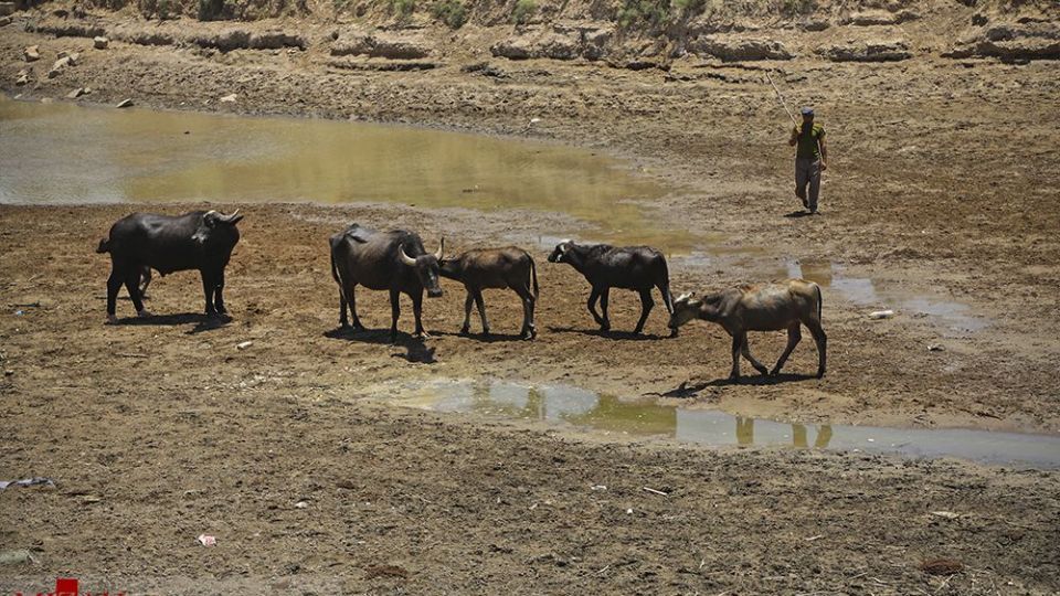 هورالعظیم در اغما