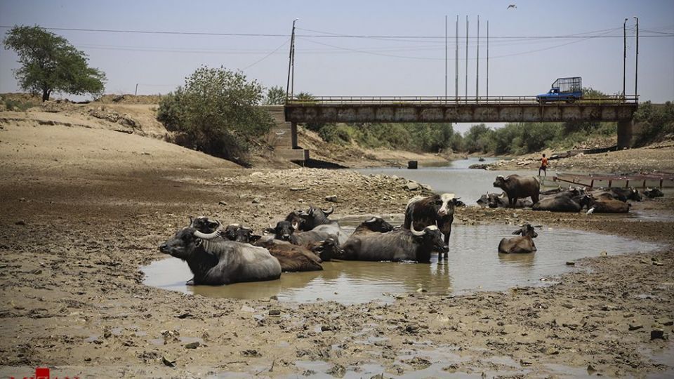 هورالعظیم در اغما