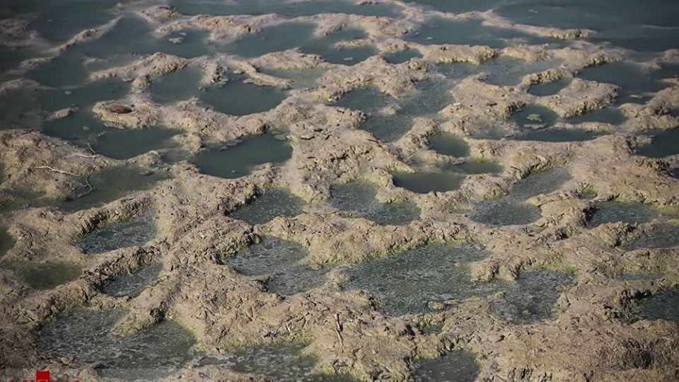 هورالعظیم در اغما