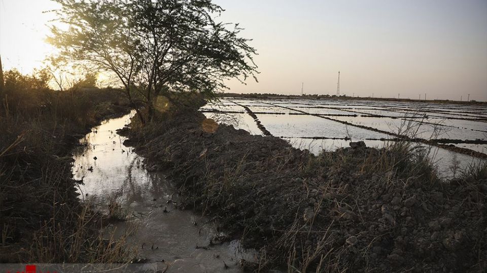 هورالعظیم در اغما