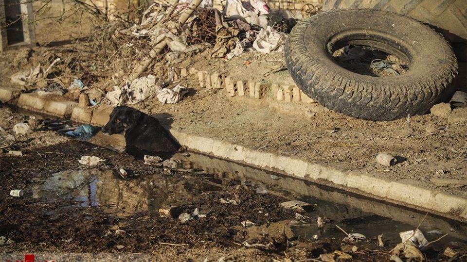 هورالعظیم در اغما